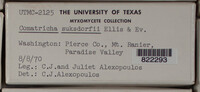 Image Associated With the Occurence